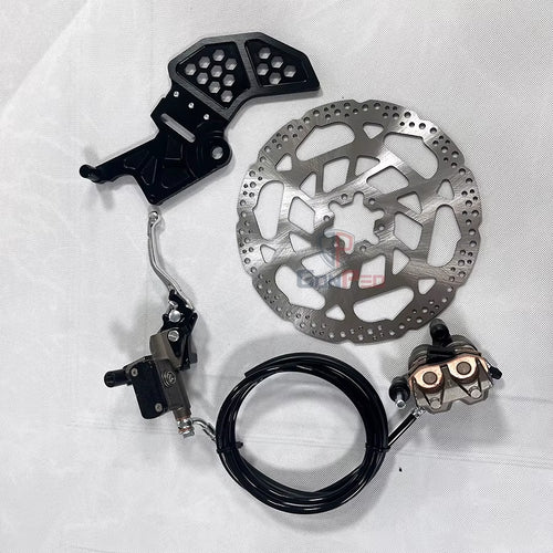 Ultra Bee Brakes System Kit OEM High Quality Electric Motorcycle Braking System